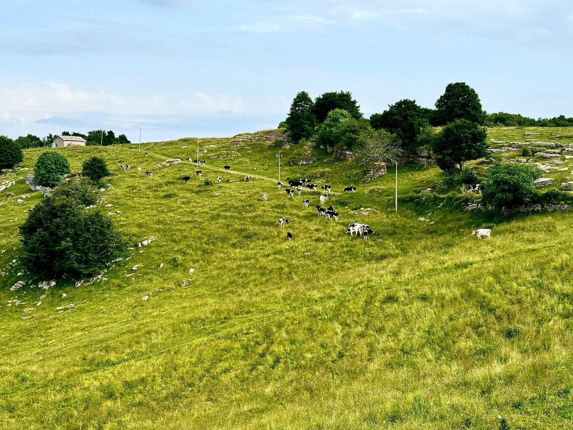 Agriturismo Malga Rambalda Villa Selvavecchia Eksteriør billede